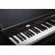 NUX NCK-330 NCK -330 Piano digital negro de 88 teclas con soporte