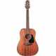 TAKAMINE GLD11ENS 11 - Dreadnought