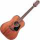 TAKAMINE GLD11ENS 11 - Dreadnought