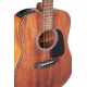 TAKAMINE GLD11ENS 11 - Acorazado