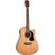 WASHBURN AD5CEPACK Dreadnought Cutaway Pack Electro Natural