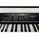 KORG GS-X Piano Grandstage 88 notes