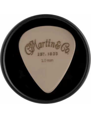C.F MARTIN   CO 18A0119 | MusicGoodDeal 2