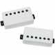 SEYMOUR DUNCAN NGL-SNT-SET-FW . Kit, Frost White