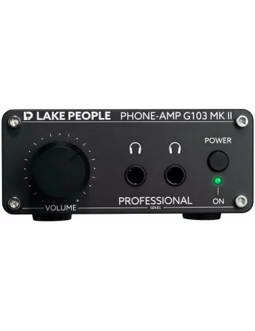 LAKE PEOPLE G103-P-MKII | MusicGoodDeal 2