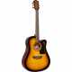 WASHBURN AD5CEPACK-TSB Dreadnought Electro sunburst pack