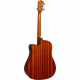 WASHBURN AD5CEPACK-TSB Dreadnought Electro sunburst pack