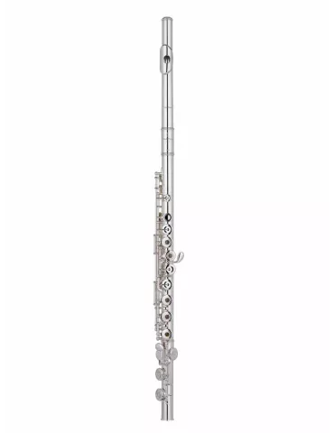 PEARL FLUTE B665RE-HC | MusicGoodDeal
