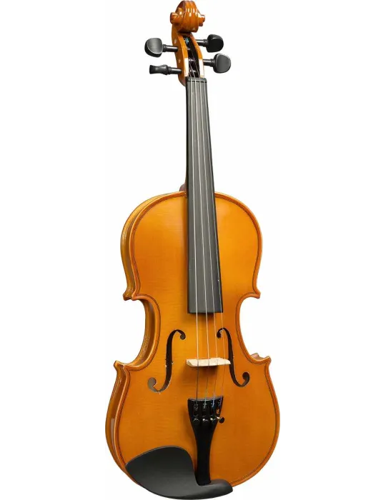  HERALD AS134 Any massif|MusicGoodDeal 