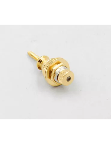 41ebe9670cab94d09f5c2331fbd696ac 2