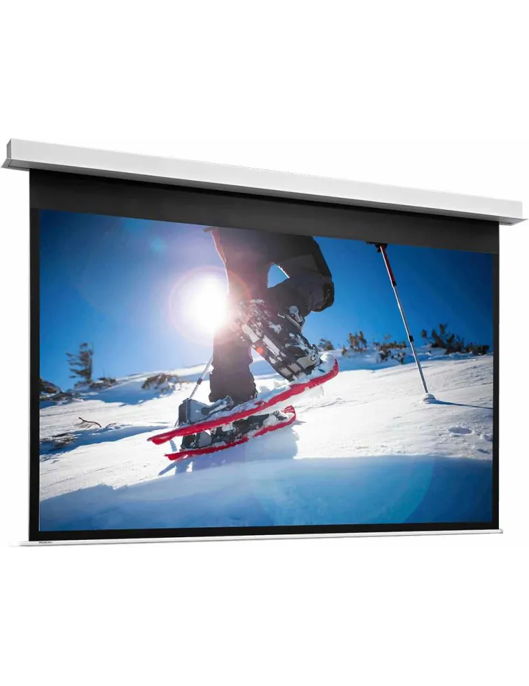 PROJECTA 10104738 | MusicGoodDeal