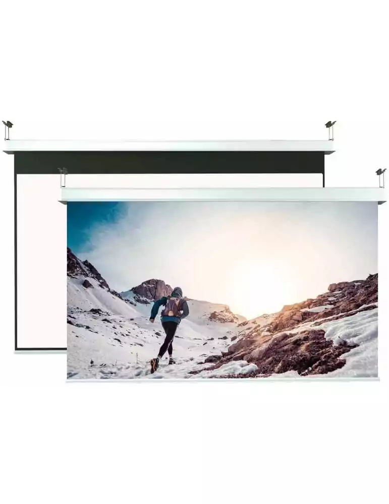 SCREENLINE INCE500313DN | MusicGoodDeal