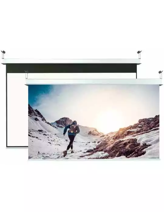 SCREENLINE INCE500313DN | MusicGoodDeal