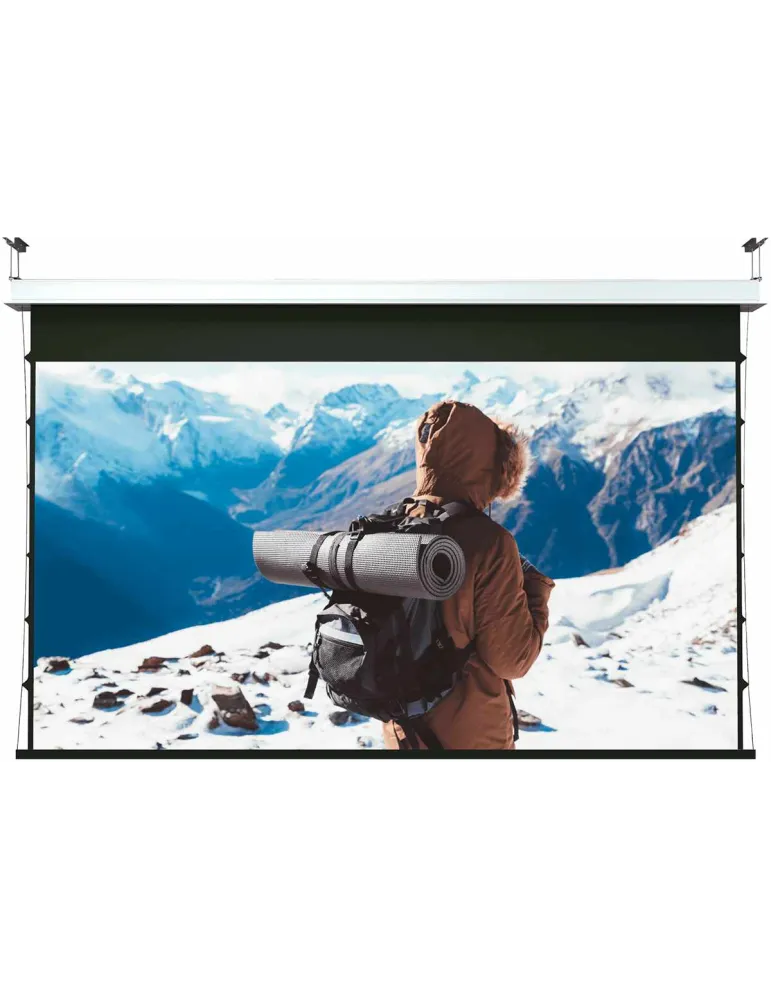 SCREENLINE INCE850478DN | MusicGoodDeal