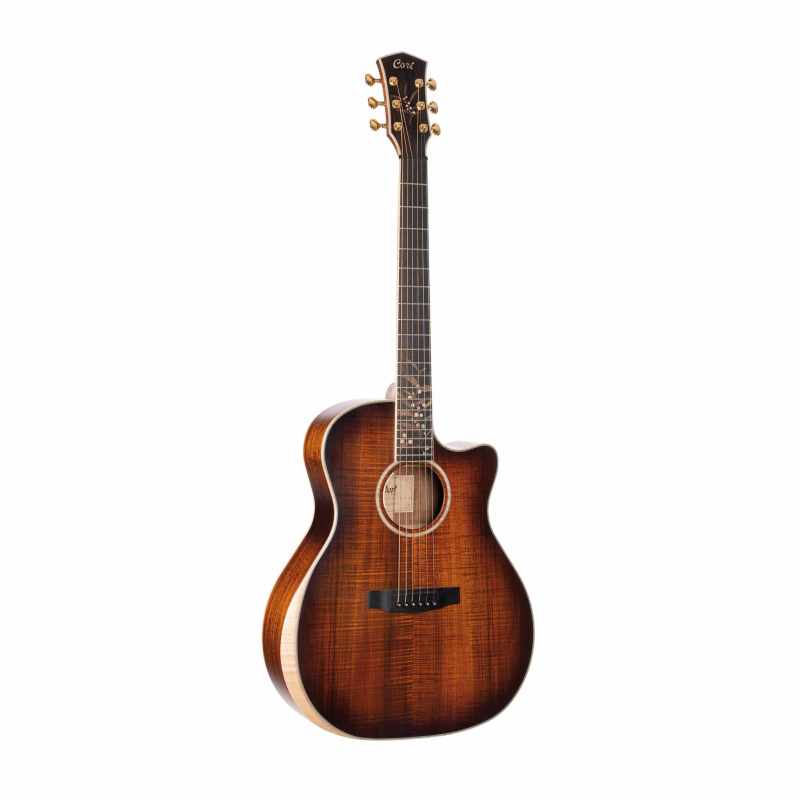 CORT GUITARE THE BLACK TREE LIGHT BURST