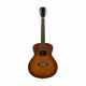 J.N GUITARS BES-A MINI GT.AC DCB TRIP SPRUCE MAS BURST