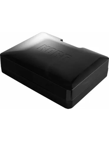 KORG HANDYTRAXX-TUBE | MusicGoodDeal 2