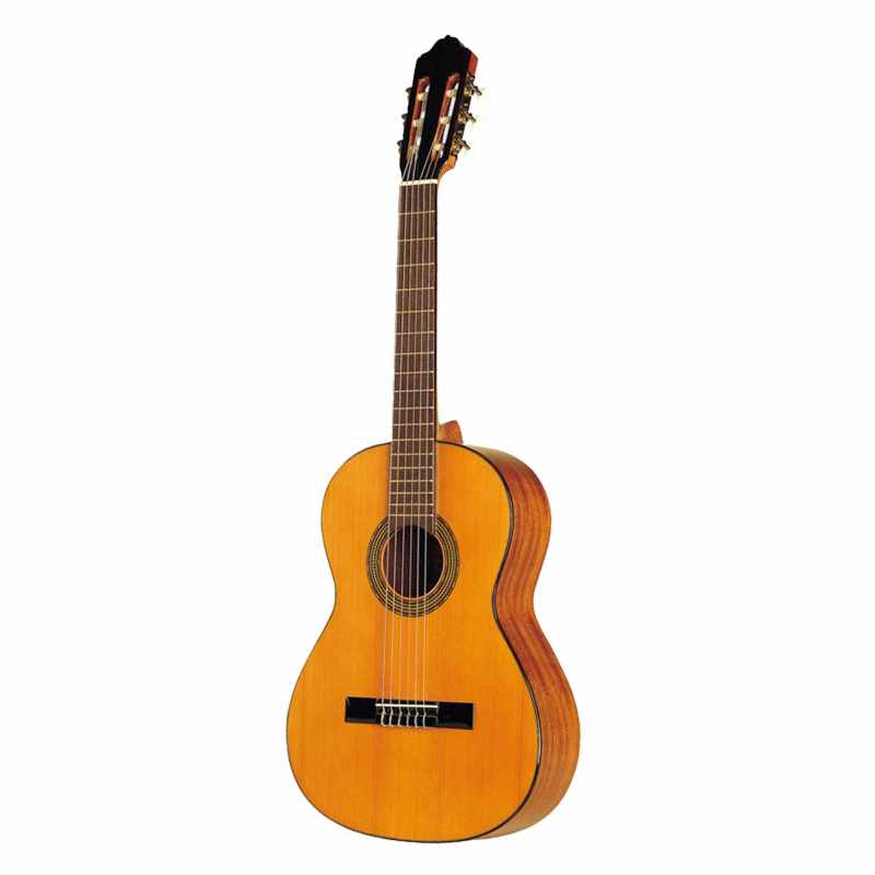 ESTEVE GITARRE 3ST53 1/2 DECKE ZEDERNHOLZ