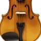 STAGG VN-4/4 ELEC SOLID TOP ELEC-ACOU VIOLIN