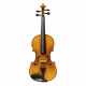 STAGG VN-4/4 ELEC SOLID TOP ELEC-ACOU VIOLIN