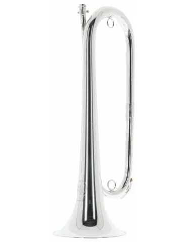 SML PARIS FCL60-S | MusicGoodDeal 2