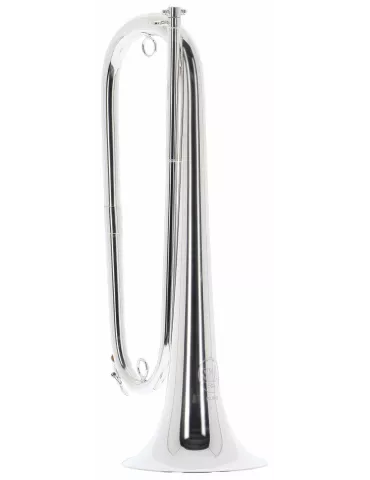 SML PARIS FCL60-S | MusicGoodDeal 2