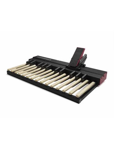 NORD PK25 | MusicGoodDeal 2