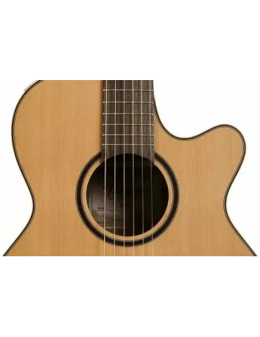TAKAMINE P3FCN | MusicGoodDeal 2