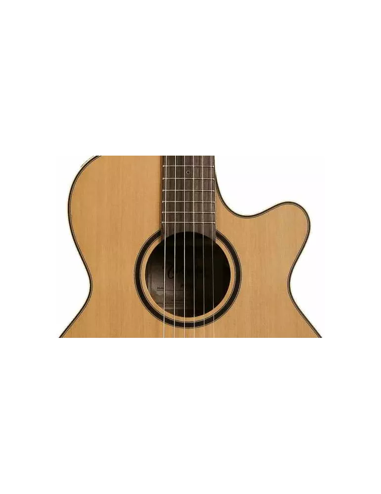 TAKAMINE P3FCN | MusicGoodDeal