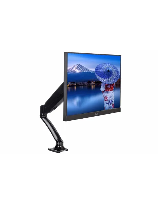 IIYAMA DS3001C-B1 | MusicGoodDeal