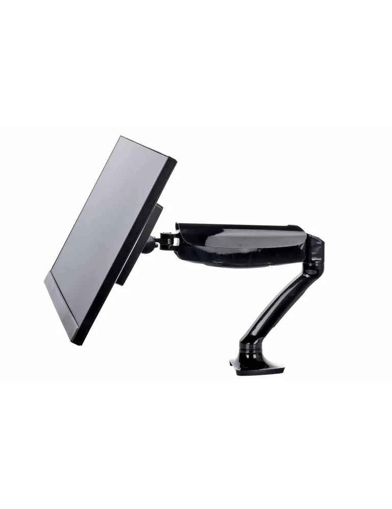 IIYAMA DS3001C-B1 | MusicGoodDeal