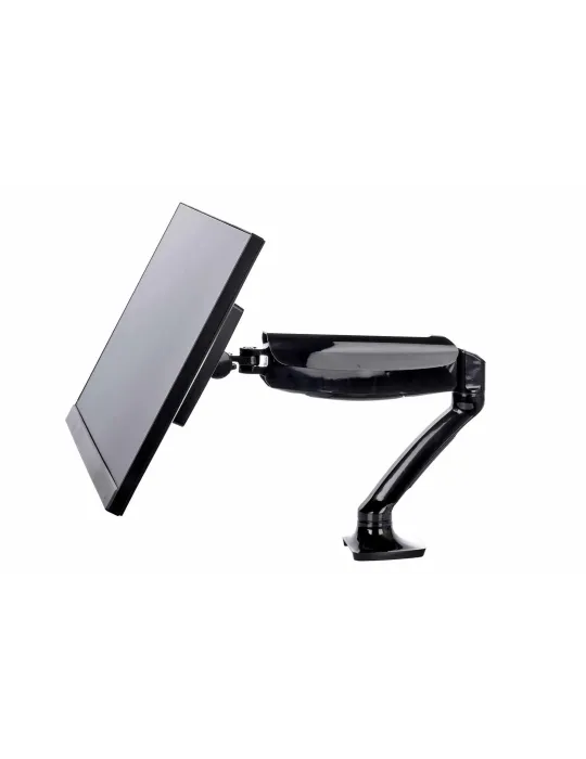 IIYAMA DS3001C-B1 | MusicGoodDeal