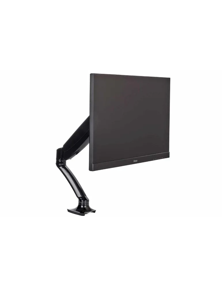 IIYAMA DS3001C-B1 | MusicGoodDeal