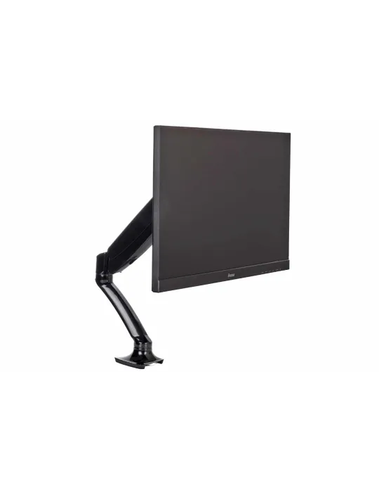 IIYAMA DS3001C-B1 | MusicGoodDeal