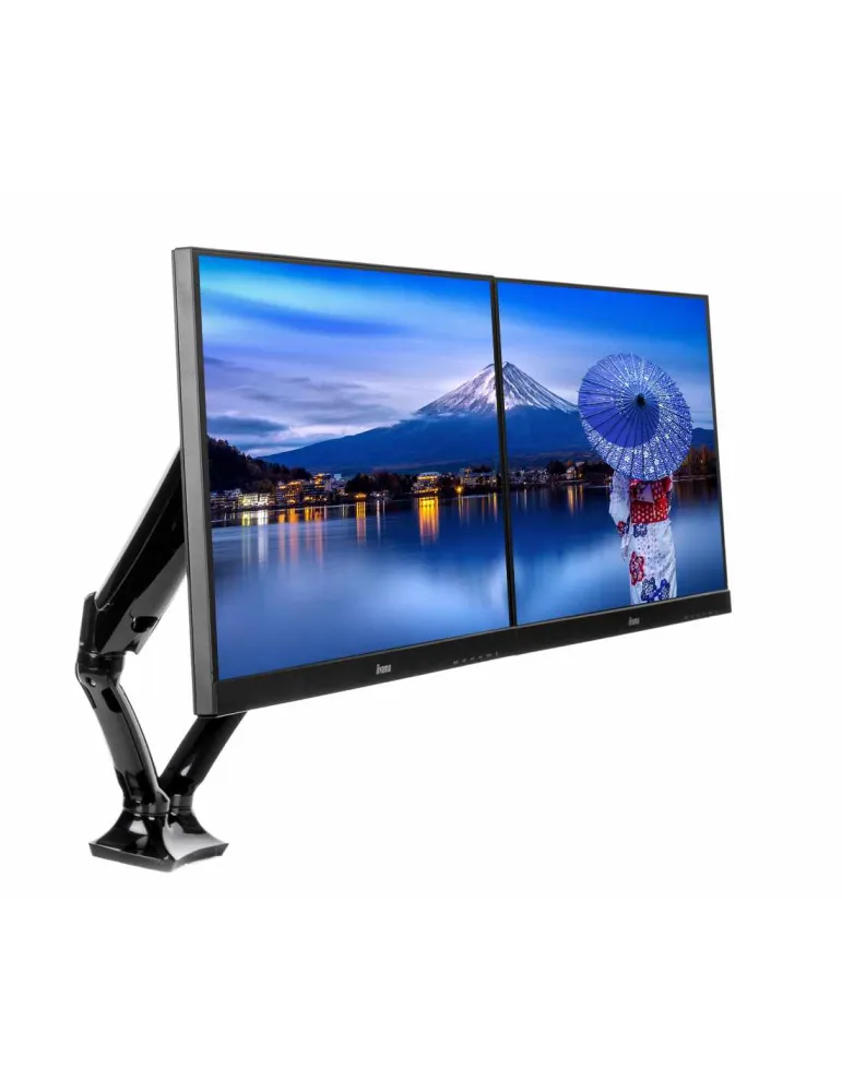 IIYAMA DS3002C-B1 | MusicGoodDeal