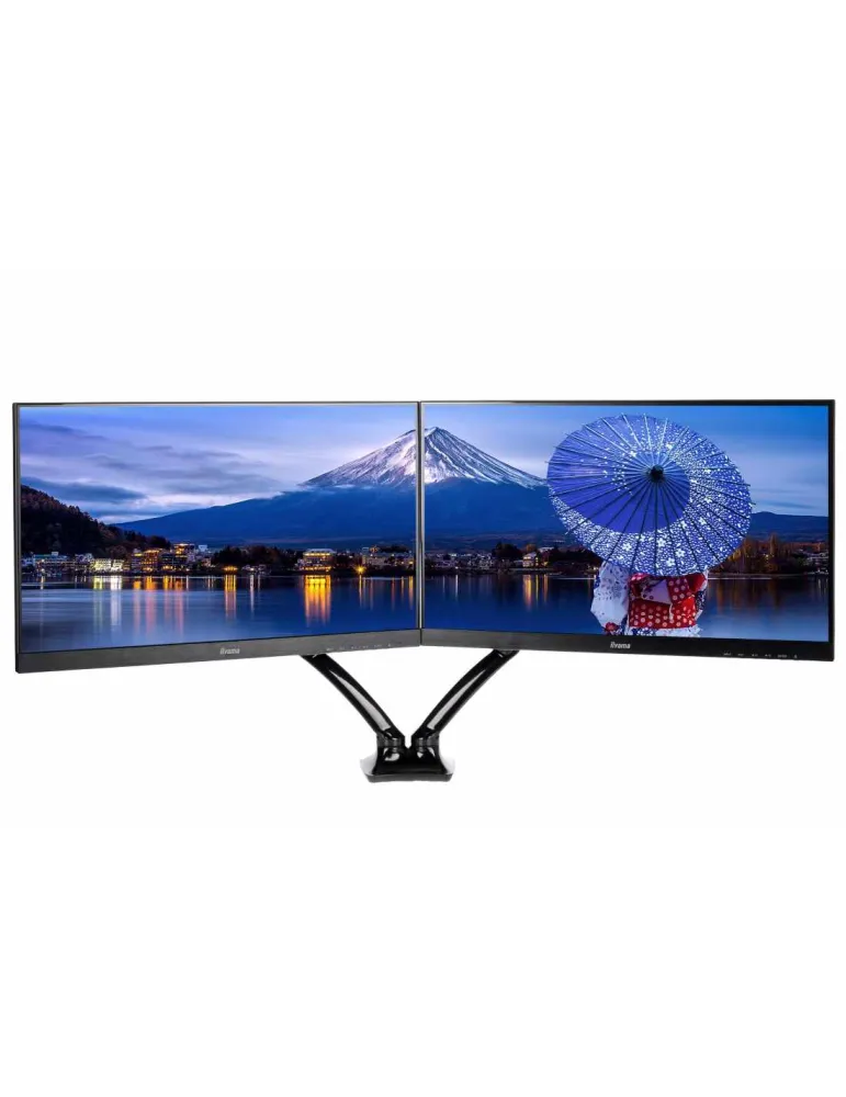 IIYAMA DS3002C-B1 | MusicGoodDeal