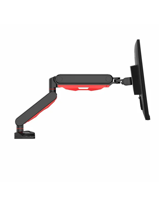 IIYAMA DSG3001C-R1 | MusicGoodDeal