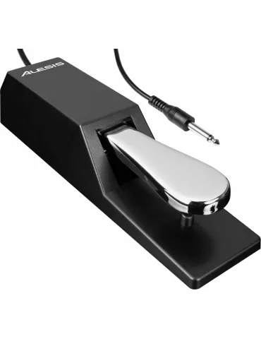 ALESIS ASP-2 | MusicGoodDeal 2