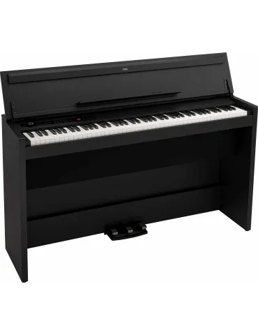 KORG E1-AIR-BK | MusicGoodDeal 2