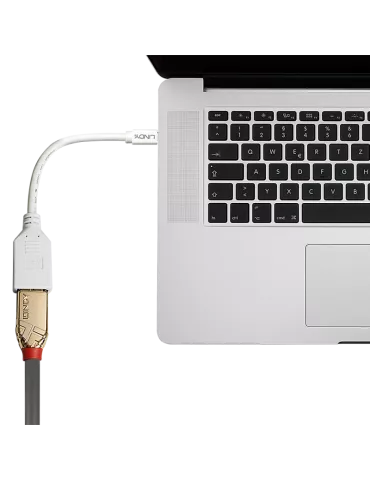 LINDY 41021 Cable adaptador blindado Lindy Mini DP (M) a DP (F) Premium LINDY LIN41021 | MusicGoodDeal 2