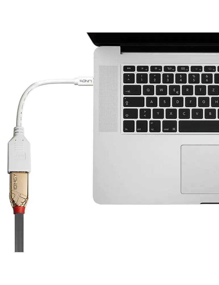 LINDY 41021 Lindy Mini DP (M) to DP (F) Premium shielded adapter cable LINDY LIN41021 | MusicGoodDeal