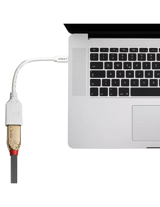 LINDY 41021 Lindy  Câble adaptateur Mini DP (M) vers DP (F) Premium blindé