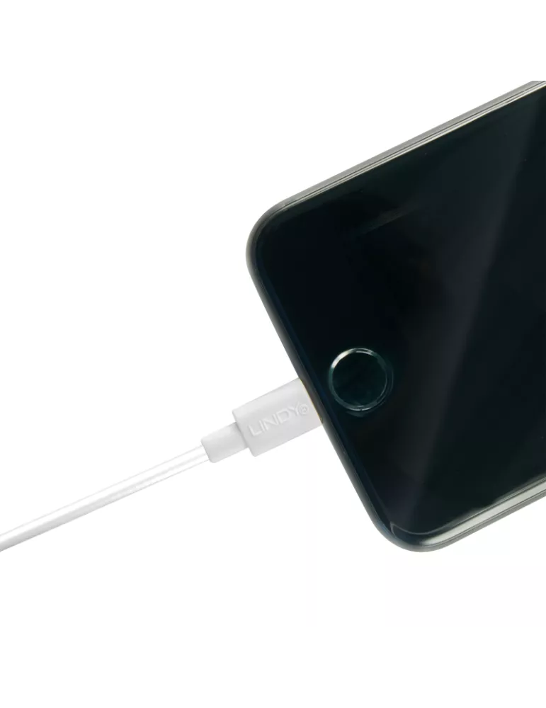 LINDY 31327 USB to Lightning cable White 2m LINDY LIN31327 | MusicGoodDeal