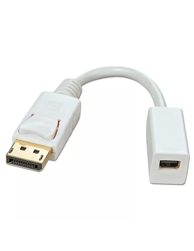 LINDY 41060 Lindy Adapterkabel DP (DisplayPort) auf Mini DisplayPort Buchse LINDY LIN41060 | MusicGoodDeal