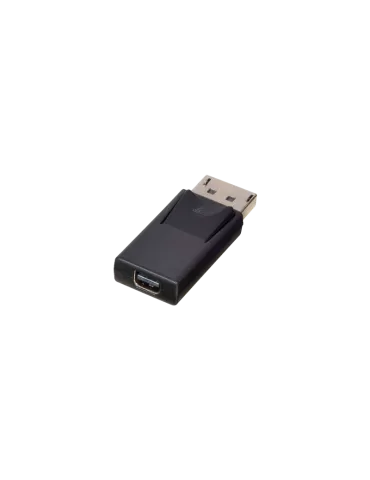 LINDY 41089 Lindy  Adaptateur DisplayPort vers mini DisplayPort 2