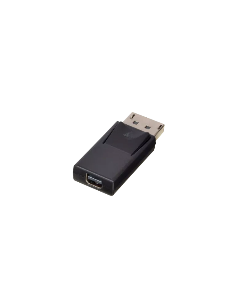 LINDY 41089 Lindy  Adaptateur DisplayPort vers mini DisplayPort