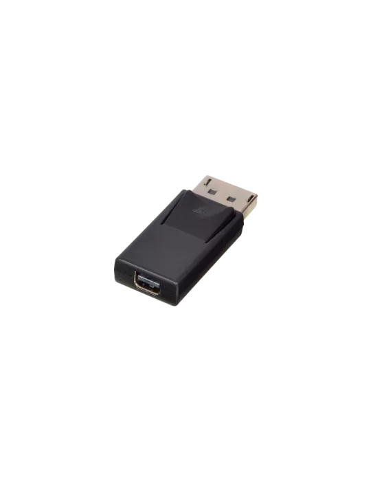 LINDY 41089 Lindy  Adaptateur DisplayPort vers mini DisplayPort