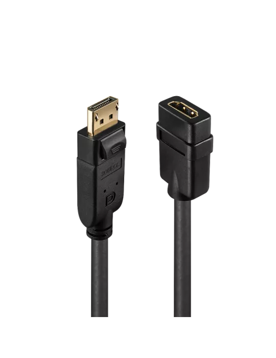 LINDY 41005 Lindy DisplayPort to HDMI converter LINDY LIN41005 | MusicGoodDeal