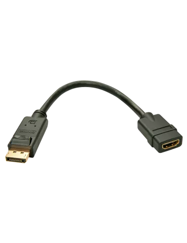 LINDY 41005 Lindy  Convertisseur DisplayPort vers HDMI 2