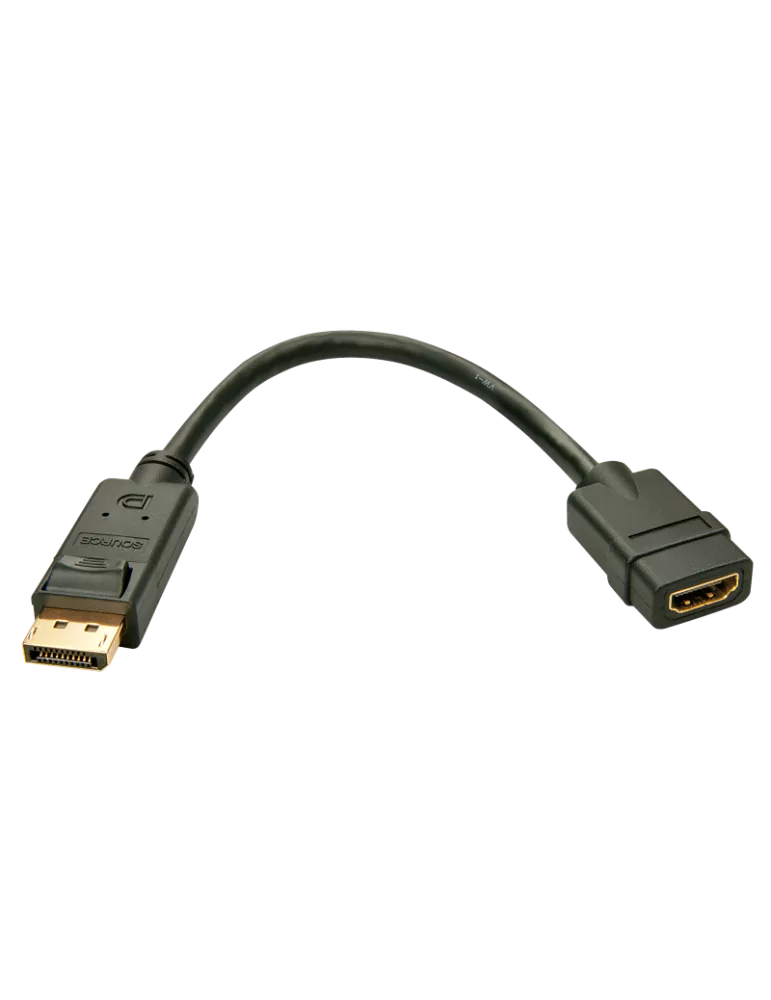 LINDY 41005 Lindy  Convertisseur DisplayPort vers HDMI